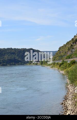 Blick entlang des Rheins Richtung Kamp-Bornhofen Stockfoto