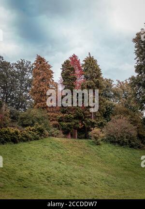 Linn Park, Glasgow Stockfoto