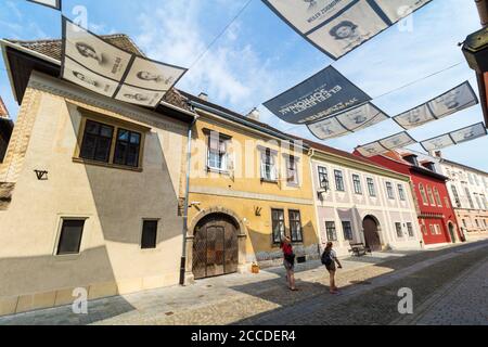 UJ utca (Neue Straße) mit Bildern jüdischer Opfer des Holocaust auf der Straße, Sopron, Ungarn Stockfoto