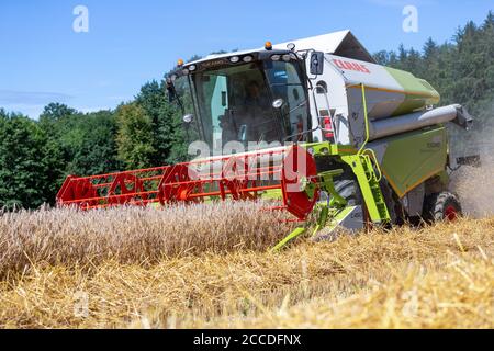 BAYERN / DEUTSCHLAND - 20. AUGUST 2020: Claas Tucano 420 Mähdrescher Dreschwerk Getreide in einem landwirtschaftlichen Bereich. Stockfoto