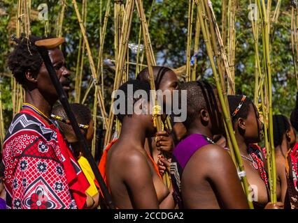 Umhlanga, oder Reed Dance, eine jährliche Zeremonie in Eswatini, ex-Swasiland. Tausende von unverheirateten und jungfräulichen swazi-Mädchen tanzen für die königliche Familie Stockfoto