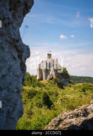 Ruinen der Burg Mirow aus dem 14. Jahrhundert in Polen. Mittelalterliches, monumentales Steingebäude liegt auf einem Hügel, umgeben von Kalksteinfelsen. Stockfoto