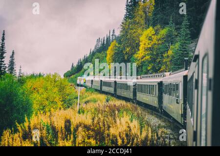 Alaska Zug White Pass Yukon Route Eisenbahn Bahnfahrt auf alten Transportschienen in Alaska Herbst Herbst Landschaft, USA Reisen. Natur Alaska Kreuzfahrt Stockfoto