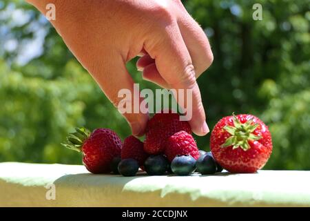 Nahaufnahme der Hand einer Person, die eine Erdbeere aus einem herausnimmt Gruppe von gemischten Beeren im Freien Stockfoto