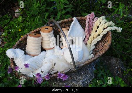 Ein Korb aus gesponnenen und natürlich gefärbten Wolle, mit einem Rolag aus rohem Pickwick Fleece bereit zum Spinnen im Vordergrund vorbereitet. Stockfoto