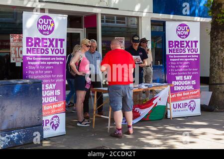 Swansea, Wales, Großbritannien, 30. Juni 2018 : Standtisch und Banner der Brexit-Kampagne der UKIP im Zentrum der Stadt Stockfoto