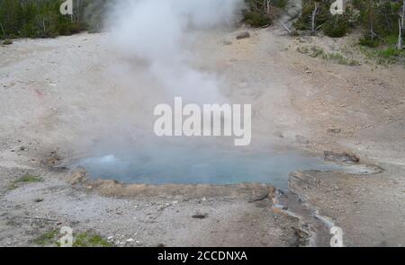 Spätfrühling im Yellowstone National Park: Beryl Spring dampft und kocht entlang der Grand Loop Road in der Gibbon Canyon Gruppe des Gibbon Geyser Basin Stockfoto