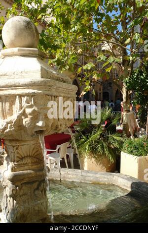 Brunnen St. Laurent während des Olivenbaumes in Ollioules Stockfoto