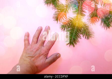 Die offene Hand der Frau mit ausgestreckten Fingern und grünem Fichtenzweig liegen aufeinander auf rosa Hintergrund mit Bokeh. Draufsicht. Umweltfreundlich Stockfoto