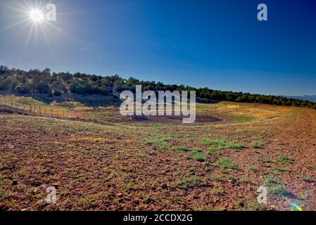 Der Dam Cattle Tank im Prescott National Forest Arizona östlich von Chino Valley, jetzt trocken von Mangel an Regen und der Hitze des Sommers. Stockfoto