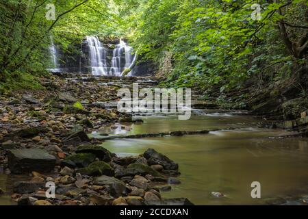 Versteckter Wasserfall in einer tiefen Schlucht mit rieselndem weißen Wasser. Forest of Bowland, Ribble Valley, Lancashire Stockfoto