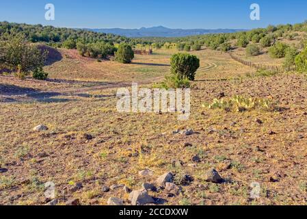 Der Damm Cattle Tank Corral im Prescott National Forest Arizona östlich von Chino Valley, jetzt trocken von Mangel an Regen und der Hitze des Sommers. Stockfoto