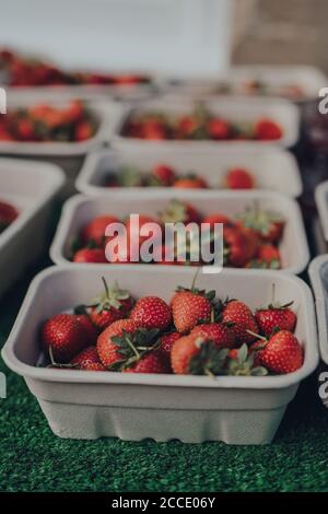Kartonpunette mit frischen Erdbeeren auf einem lokalen Marktstand in den Cotswolds, Großbritannien. Stockfoto