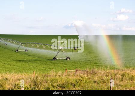 Pivot läuft im Feld mit schönen Regenbogen an sonnigen Tag. Hochwertige Fotos Stockfoto