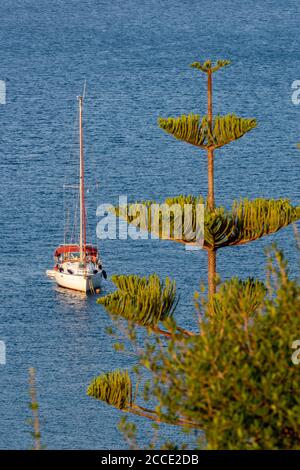 Eine Yacht vor der griechischen Insel zakynthos in einer ruhigen Bucht vor Anker. Stockfoto