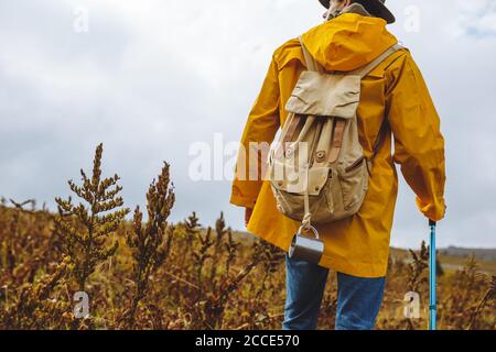 Junger Tourist zu Fuß auf dem Tal an einem warmen Herbsttag, Rückansicht Foto. Copy space Stockfoto