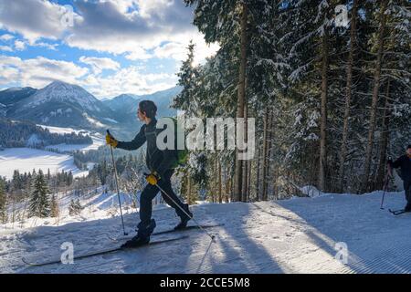 Hochfilzen, Menschen, Langlaufen, junger Mann in den Kitzbüheler Alpen, Pillersee Tal, Tirol, Österreich Stockfoto