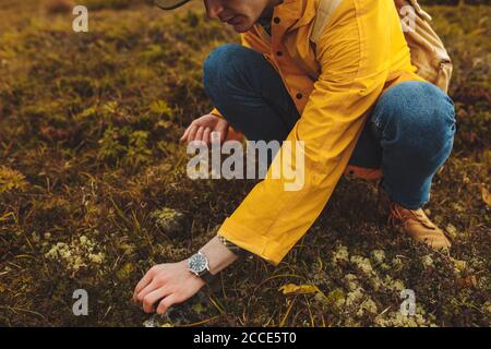 Junger Mann in gelbem Mantel und Hut genießen pflücken Heidelbeeren, Lifestyle, Interesse, Hobby. Nahaufnahme abgeschnitten Foto Stockfoto