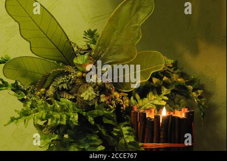 Prinz der Frösche im dunklen Hintergrund. Weichzeichner und unscharfe Hintergrundunschärfe. Stockfoto