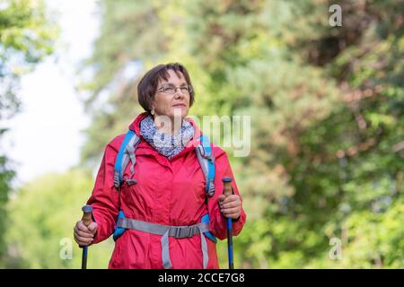 Porträt einer älteren Frau, die im Herbst durch den Wald geht. Wandern. Aktives Lifestyle-Konzept im Alter nach 60 Jahren. Stockfoto