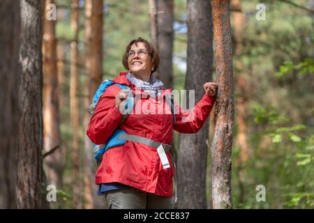Porträt einer älteren Frau im Wald. Aktives Lifestyle-Konzept im Alter nach 60 Jahren. Stockfoto