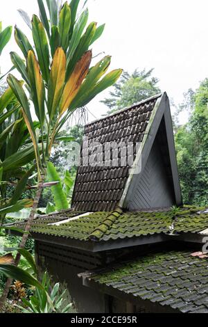 Ungewöhnliche Architektur von kleinen Häusern mit hohen Ziegeldächern im Dschungel Asiens Stockfoto