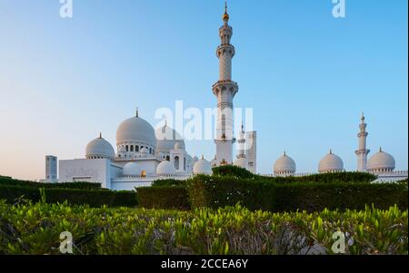 Dubai, VAE, Emirate, Vereinigte Arabische Emirate, Mittlerer Osten, Afrika, große Scheich-Zayed-Moschee, blauer Himmel, Pflanzen im Vordergrund Stockfoto