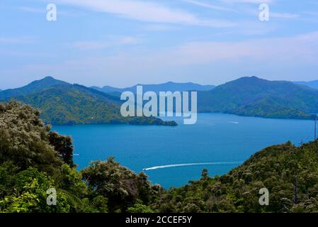 Panoramablick auf die Marlborough Sounds vom Queen Charlotte Drive in der Nähe von Picton, Neuseeland Stockfoto