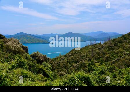 Panoramablick auf die Marlborough Sounds vom Queen Charlotte Drive in der Nähe von Picton, Neuseeland Stockfoto