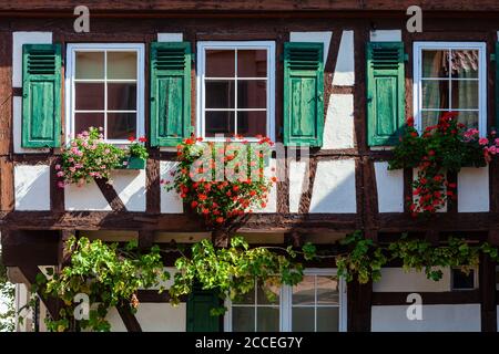 Fachwerkhaus, Blumen, Haus, Wohnen Stockfoto