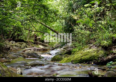 Ship Cove Waterfall Walk in Queen Charlotte Sound, Neuseeland Stockfoto