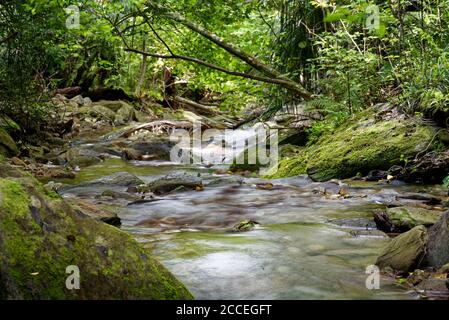 Ship Cove Waterfall Walk in Queen Charlotte Sound, Neuseeland Stockfoto