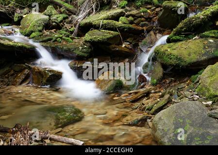 Ship Cove Waterfall Walk in Queen Charlotte Sound, Neuseeland Stockfoto