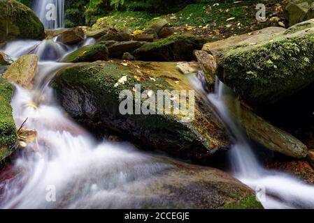 Ship Cove Waterfall Walk in Queen Charlotte Sound, Neuseeland Stockfoto