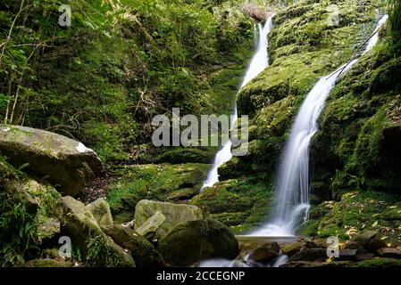 Ship Cove Waterfall Walk in Queen Charlotte Sound, Neuseeland Stockfoto