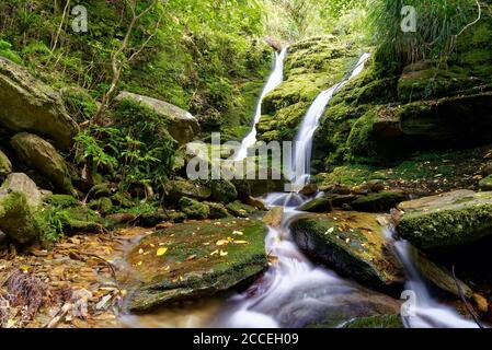 Ship Cove Waterfall Walk in Queen Charlotte Sound, Neuseeland Stockfoto