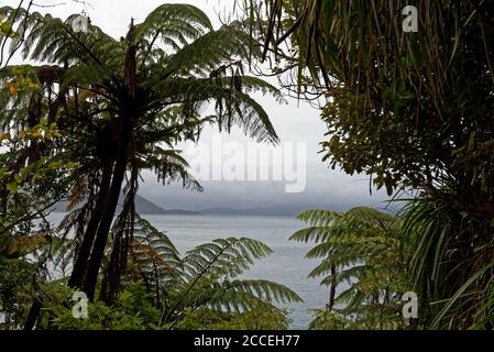 Ship Cove Waterfall Walk in Queen Charlotte Sound, Neuseeland Stockfoto