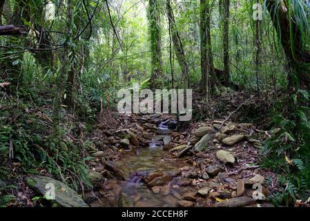 Ship Cove Waterfall Walk in Queen Charlotte Sound, Neuseeland Stockfoto