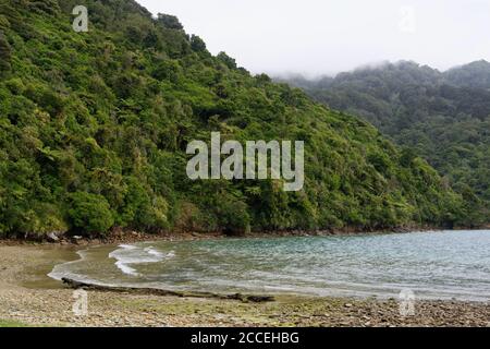 Ship Cove in Queen Charlotte Sound, Neuseeland Stockfoto