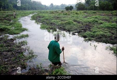 Wachen, die sich dem Schutz und der Überwachung der Gorillas von Dzanga Sangha widmen. Zentralafrikanische Republik. WWF Stockfoto