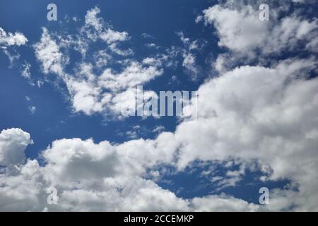 Bizarre Kumuluswolken schweben im blauen Himmel. Himmel im Sonnenlicht. Hintergrund für Vorhersage und Meteorologie Illustration. Stockfoto