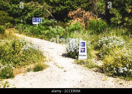 Pfeil und Schale des camino de santiago zeigt die Weg Stockfoto