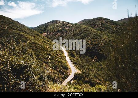 Kleine Straße, die die Berge der Kiefernwälder durchquert Stockfoto