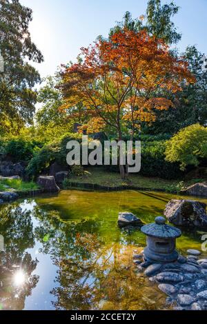 Deutschland, Baden-Württemberg, Bietigheim-Bissingen, Japan Garten Stockfoto