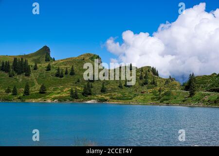 Erstaunliche Schweiz - Bergsee Truebsee Stockfoto