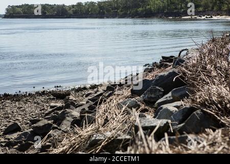 Küstenlinie im Crooked River State Park in Georgia Stockfoto