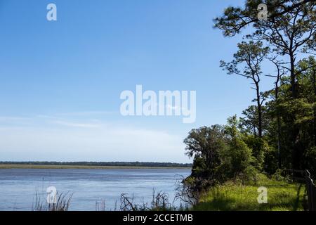 Küste des Crooked River State Park in Georgia Stockfoto