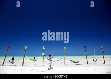 Touristen fotografieren in Hängematten an einem idyllischen Strand auf der Insel Holbox. Stockfoto