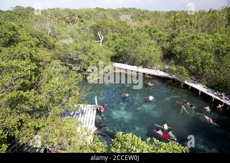 Mangrovensumpf auf Holbox Island, Badeurlauber im kristallklaren Wasser, Quintana Roo, Yucatán Peninsula, Mexiko Stockfoto