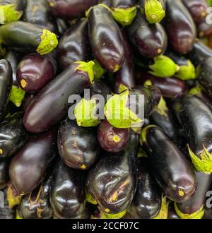 Auberginen auf dem Display im Supermarkt Stockfoto